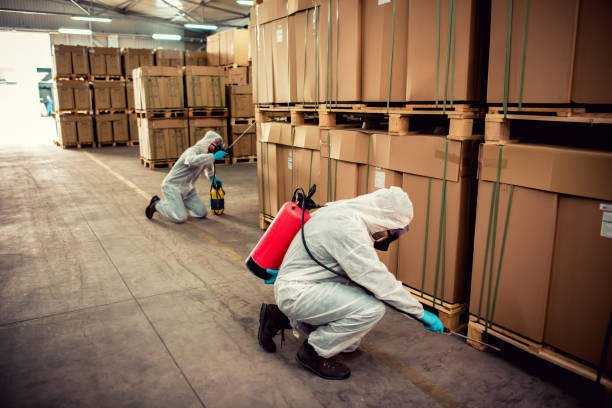 Best Pest Removal Services  in Sound Beach, NY