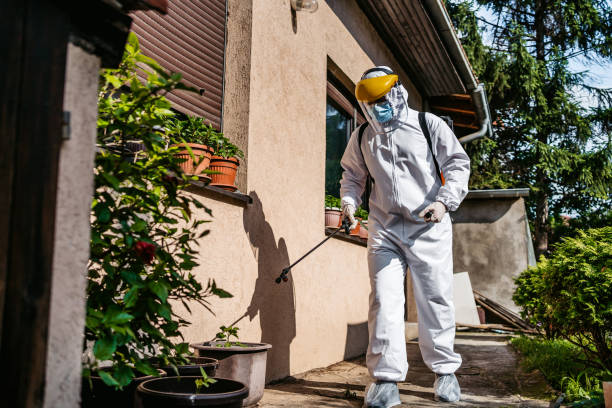 Best Mosquito Control Services  in Sound Beach, NY