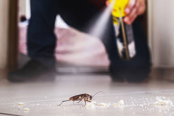 Pest Control Cost in Sound Beach, NY