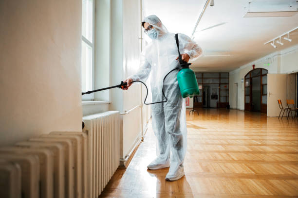 Reliable Sound Beach, NY Pest Control Solutions