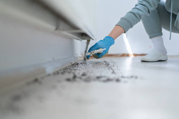 Best Pest Prevention Services  in Sound Beach, NY